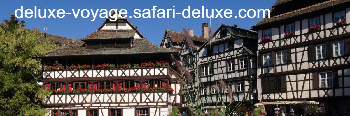 deluxe-voyage.safari-deluxe.com